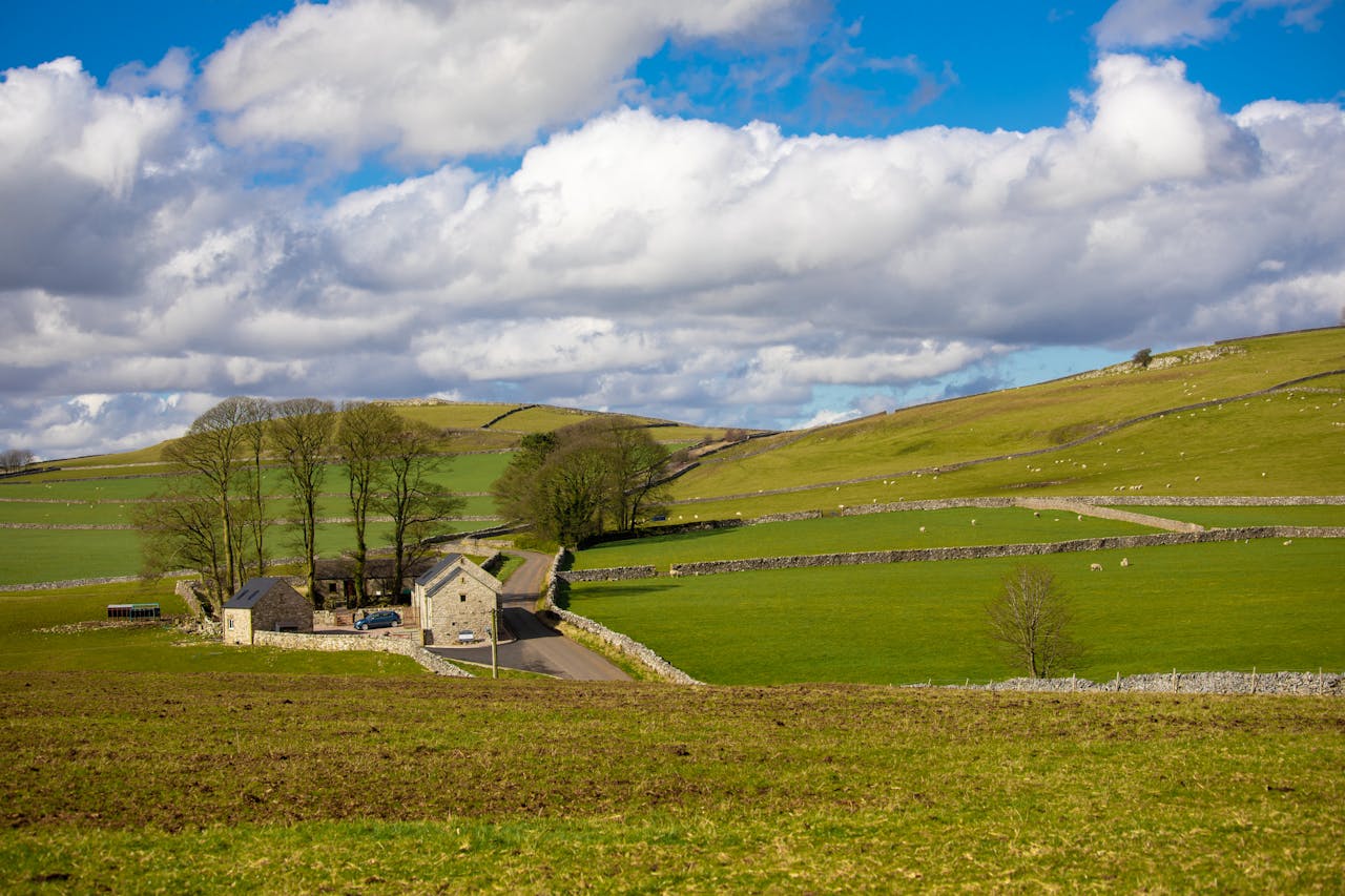 Our Somerset farmland