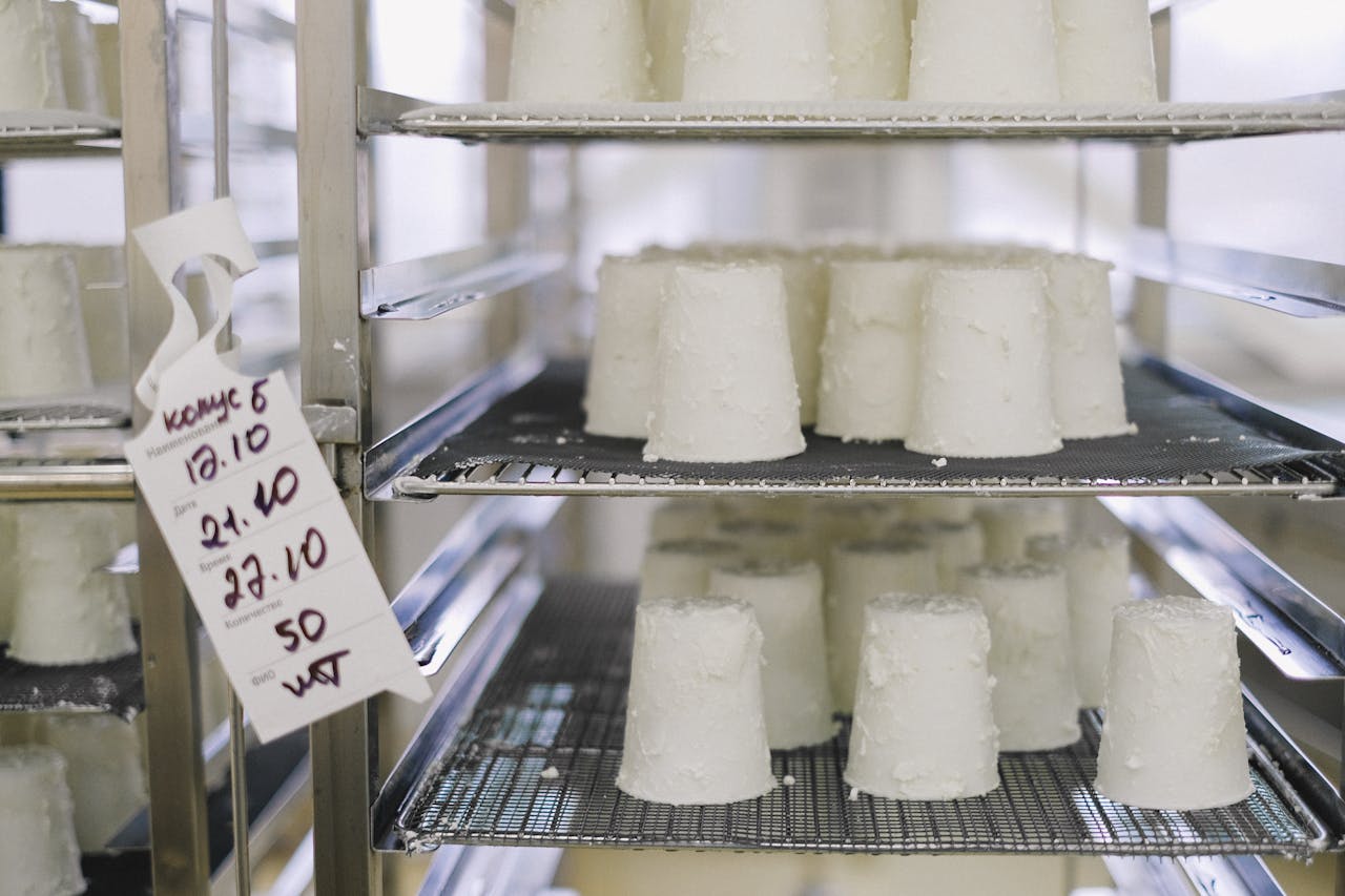 Young Somerset cheese wheels on racks